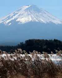 🗻✨ Mt. Fuji's Unique Perspectives: A Fresh Angle Unveiled! 🤭