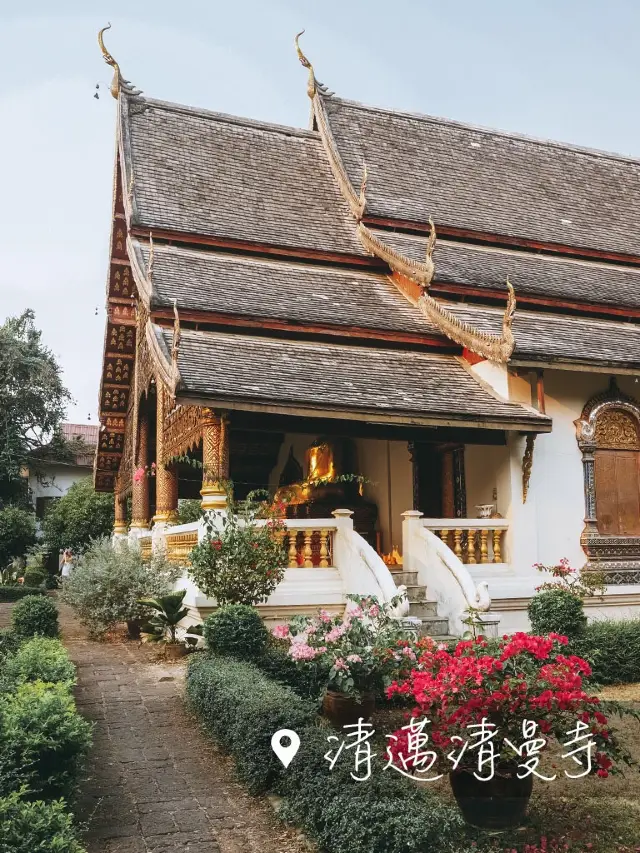 🇹🇭清邁清曼寺 Wat Chiang Man