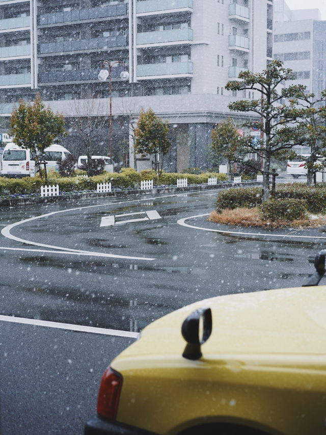 冬天到滋賀看雪景被京都的名氣耽誤的低調近鄰