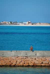 馬特魯1日路線規劃攻略，來埃及看非洲最美的海！
