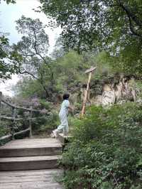 雲蒙山皇家森林公園徒步