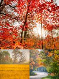 賞秋！不可錯過的美景！吉林•紅葉谷攻略！奉上！