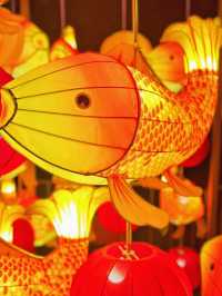 我在重慶看到了鯉魚躍龍門/花燈一亮新年到