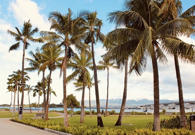 檀香山（Honolulu）是夏威夷的首都和最大城市，位於夏威夷州的瓦胡島（Oahu）