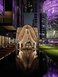 來新加坡旅行前需要知道的幾件事～住全新的烏節泛太平洋酒店好讚