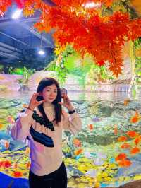 春節去哪兒？一站式體驗海洋世界的快樂