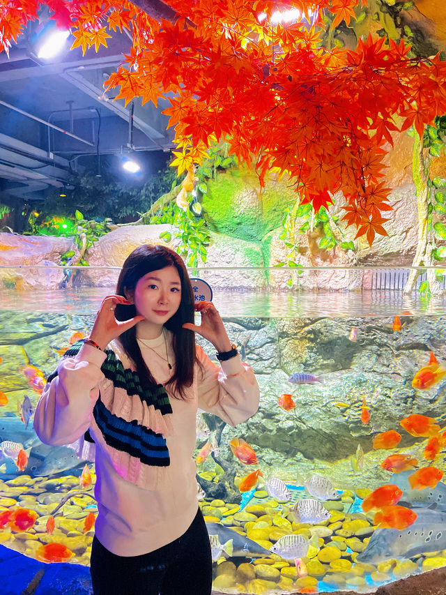 春節去哪兒？一站式體驗海洋世界的快樂