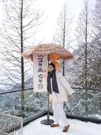 冬日的快樂怎麼能少得了看雪