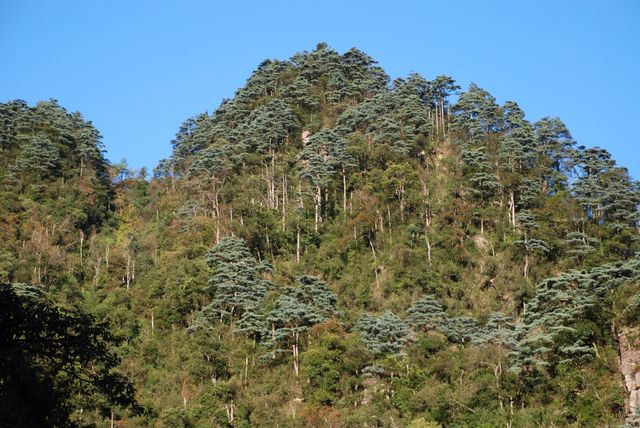 自駕之旅～探索大美莽山