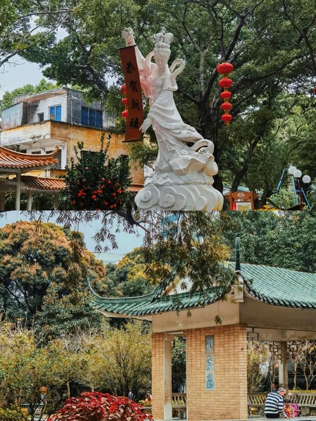 中山小榄鳳山公園,承載著幾代人的青春回憶 中山小榄鳳山公園,承載著幾代人的青春回憶
