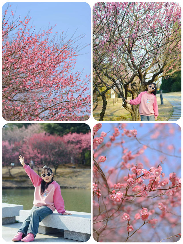 蘇州春日踏青，抓住梅花的尾巴