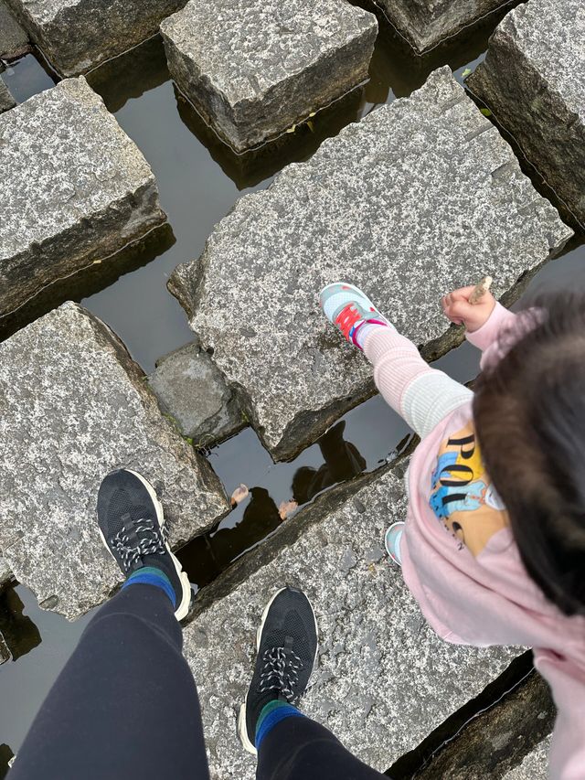 深圳帶娃登山徒步📍鳳凰山祈福實況|||早上出門是潮濕的陰天