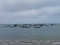 海南環島自駕第九天，海花島-臨高