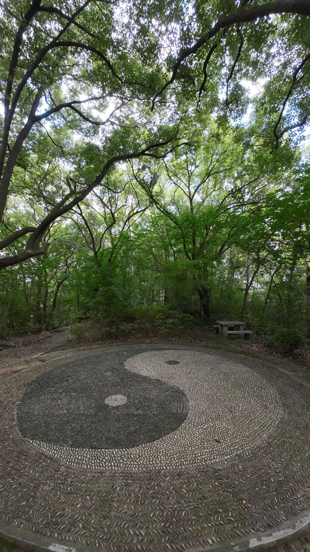 天馬山，上海松江小眾寶藏打卡地