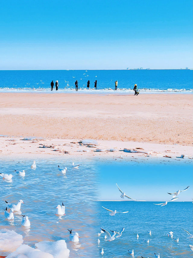 秦皇島冬日「凍海」旅遊攻略