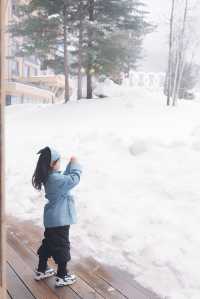 長白山的雪末怎麼薅羊毛