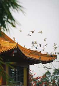 春和景明不僅是禪意遇見寧靜角落 廈門石室禪院