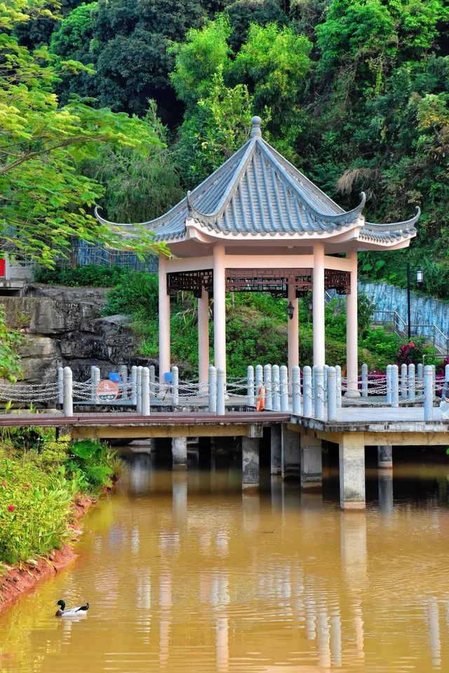 深圳無人知道的小眾打卡點:免預約、免門票