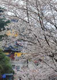 古雞鳴寺