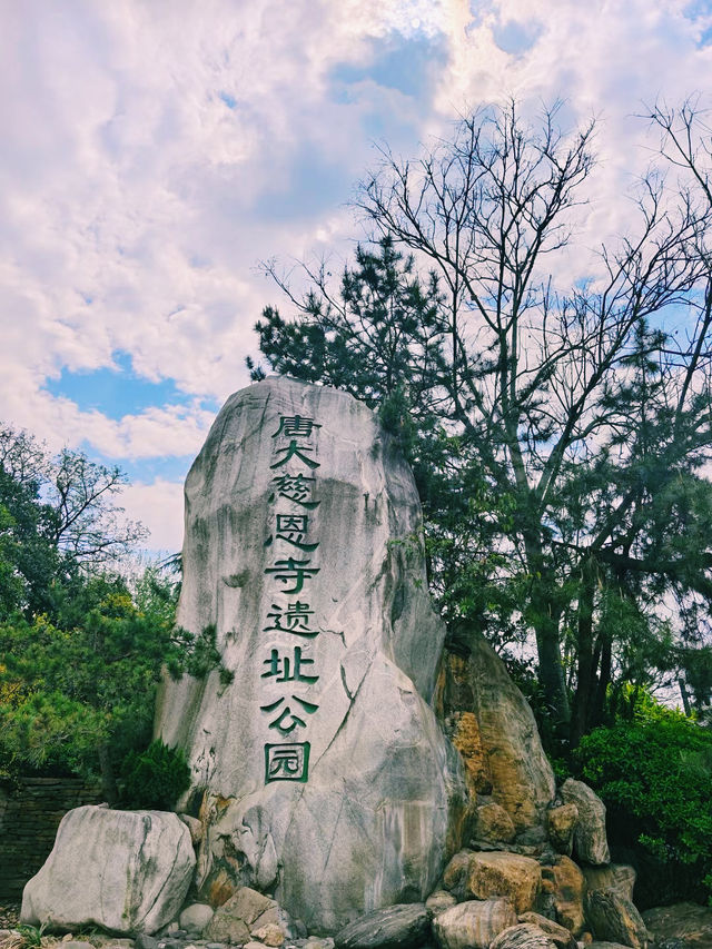 唐大慈恩寺觀花、假山、園林實景欣賞