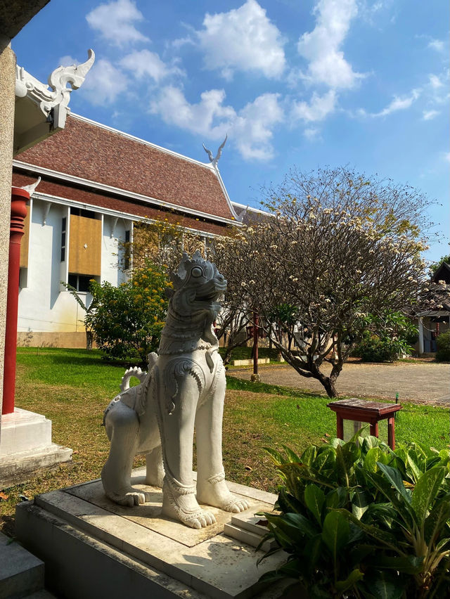 泰國旅遊｜清邁國家博物館-古城外的隱藏寶藏景點