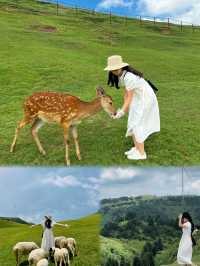 郴州也太好玩了吧！||深圳自駕郴州，三天兩夜攻略