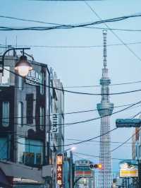 東京晴空塔：世界最高自立式電波塔，美食住宿交通一網打盡