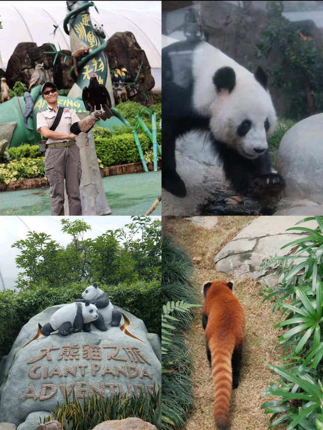 香港海洋公園遊玩全攻略