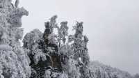 走啊！上春山～光雾山展示真正的“春山雪”