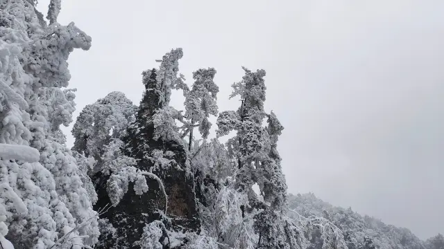 가자! 봄산에 오르자~ 광무산이 진짜 '봄산설'을 선보이네