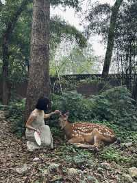 成都周邊隱藏一個小奈良唐風古寺