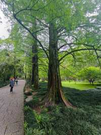 4月還在免門票的武夷山