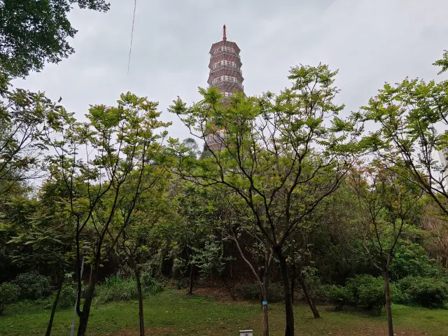 Pazhou Village is changing day by day