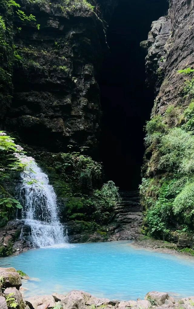 龍里·猴子溝Monkey Valley in Longli