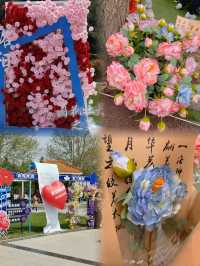 中國國花園遊園賞花最強攻略