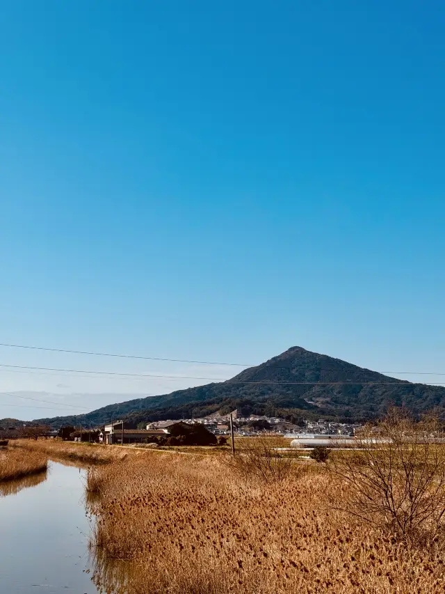 糸島 — 美景與挑戰的完美結合