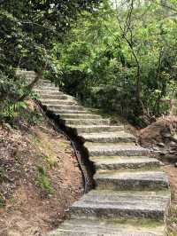 長沙·黑麋峰森林公園徒步