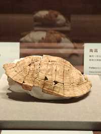 有點大有點空（鄭州）