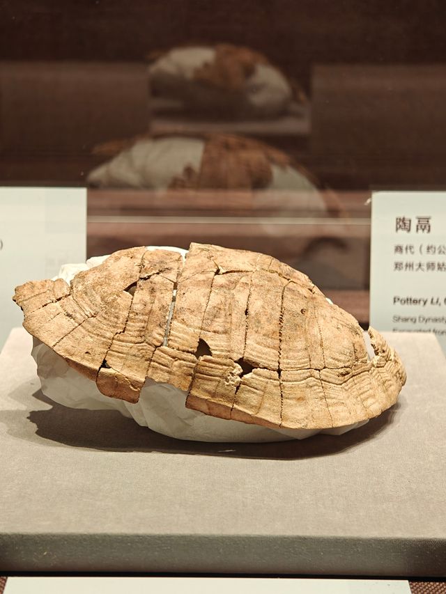 有點大有點空（鄭州）