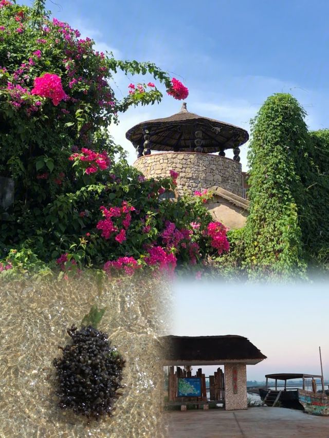 湛江徐聞南極村，旅行新發現