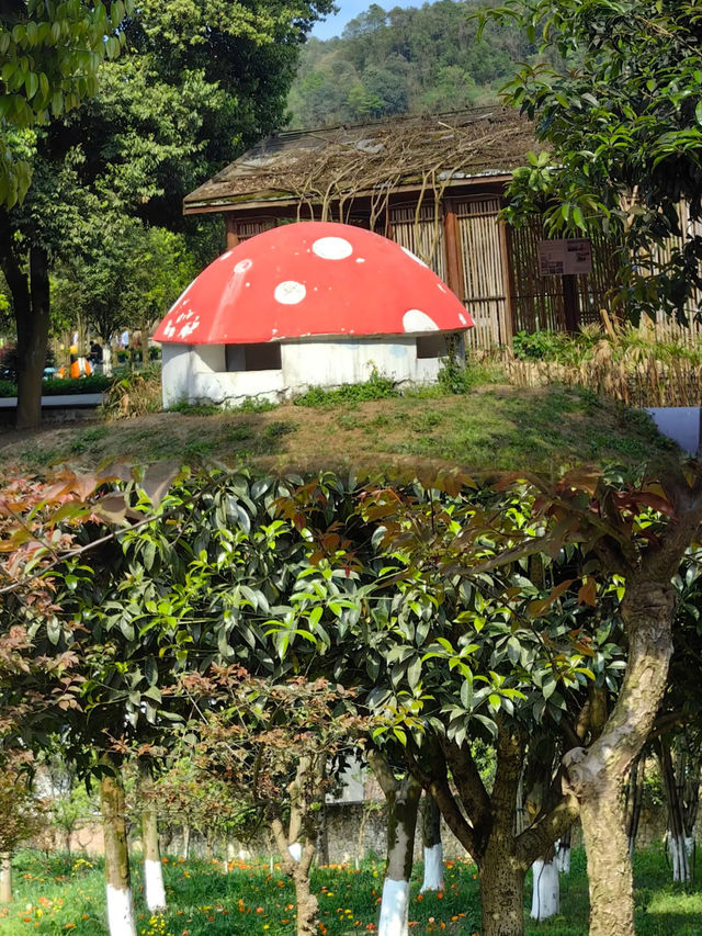 太寺垭森林公園太好玩了，不來後悔！！