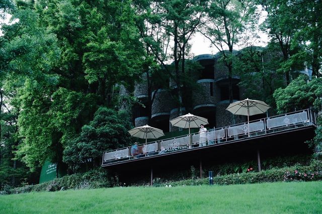 房車露營｜安吉樂那湖營地帶娃去沒有天花板的地方