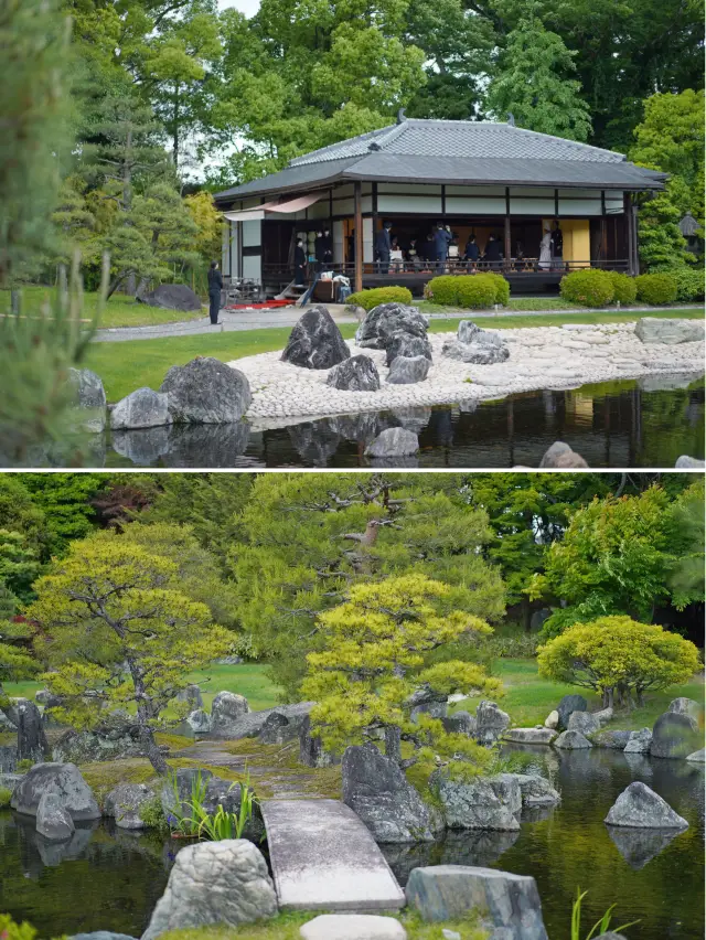 경주 만유기｜전략을 세우지 않는 것이 경주의 올바른 개방 방식입니다