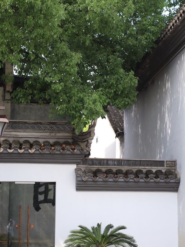 在紹興住進魯迅筆下的江南水鄉，不想退房