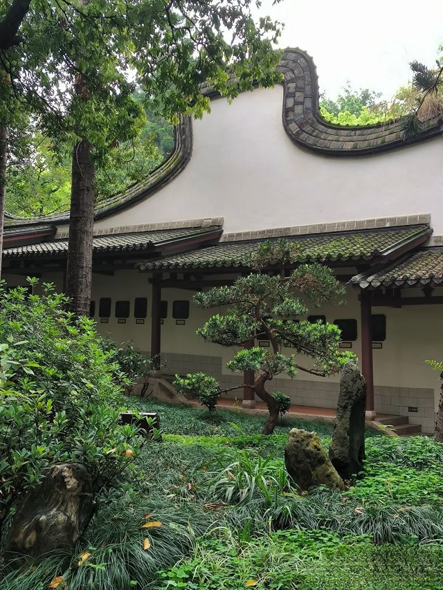 於山｜藏於鬧市中～獨守一方靜