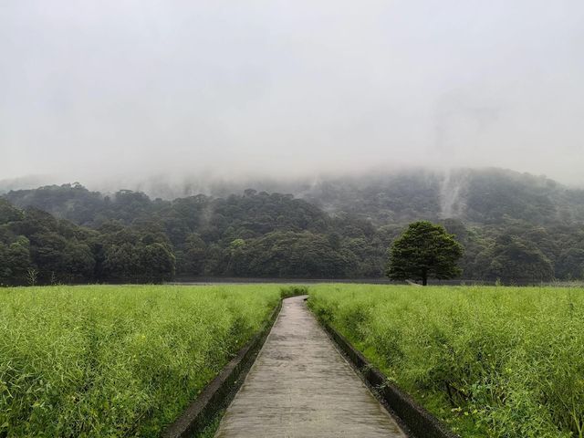 廣州溜娃玩水最美地！！廣州從化石門森林公園