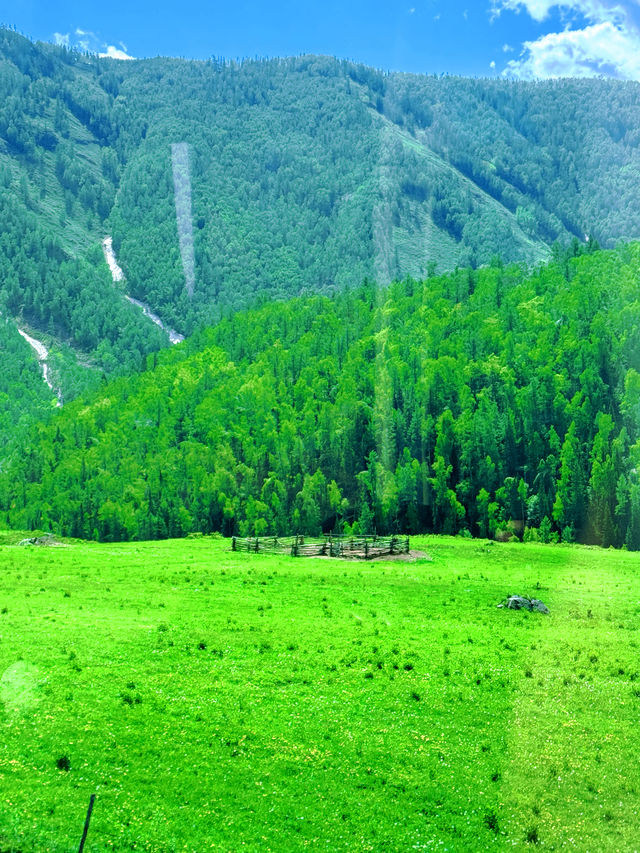 夏日在新疆喀納斯國家森林公園，暢享納涼時光