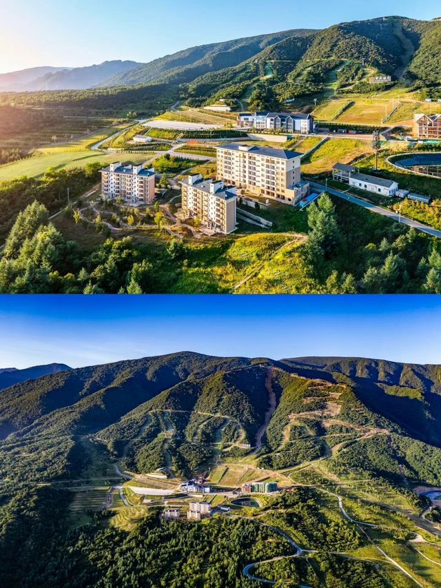 秦嶺深處山野秘境樂園！藏著一整個19°夏天