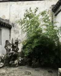 蕭芳芳的祖宅在甪直