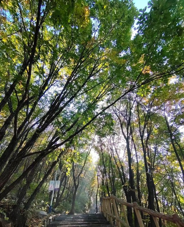 本溪平頂山景區遊玩攻略